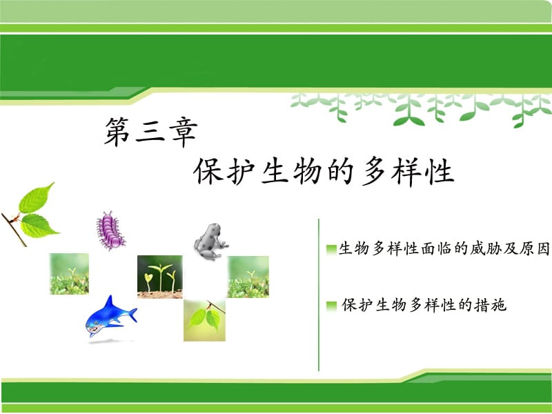 保护生物的多样性.ppt.ppt_第1页