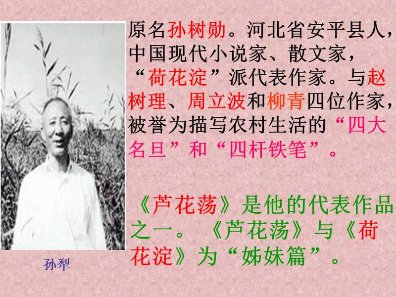 初中语文—樊书娜—芦花荡.ppt_第3页