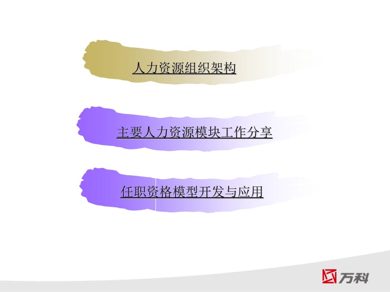 [人力资源管理]中兴人力资源管理介绍.ppt_第2页