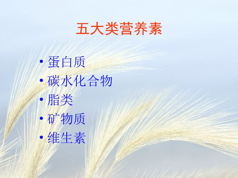 [人文社科]中国居民膳食指南.ppt_第2页