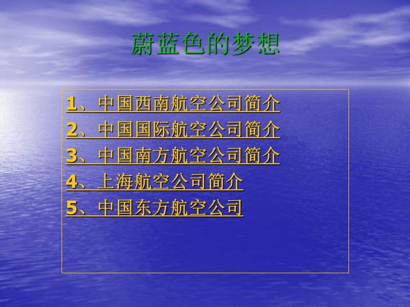 [交通运输]丁佳宇-航空公司介绍PPT.ppt_第1页