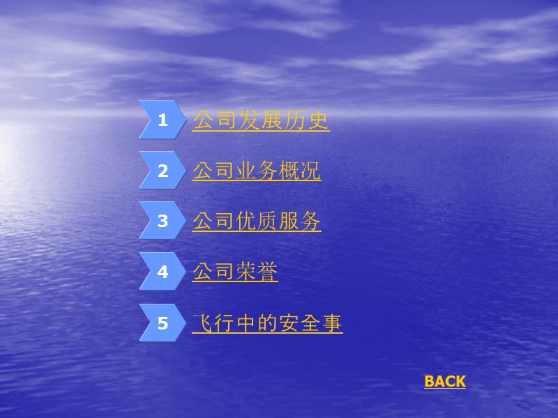 [交通运输]丁佳宇-航空公司介绍PPT.ppt_第2页