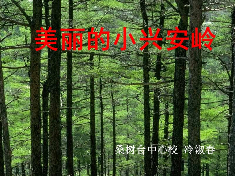 《美丽的小兴安岭》课件(1).ppt_第1页