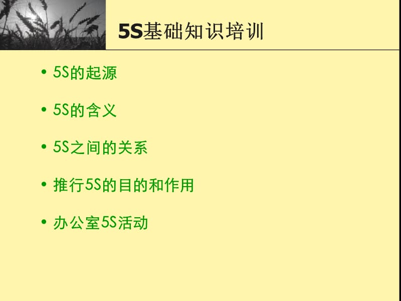 [信息与通信]5S基础知识培训.ppt_第2页