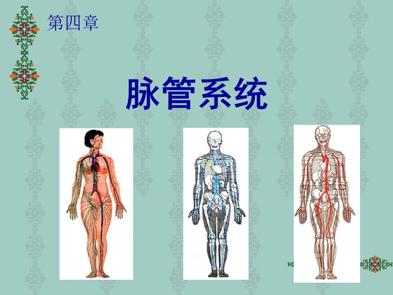 [临床医学]脉管系统 heartV2010.ppt_第1页