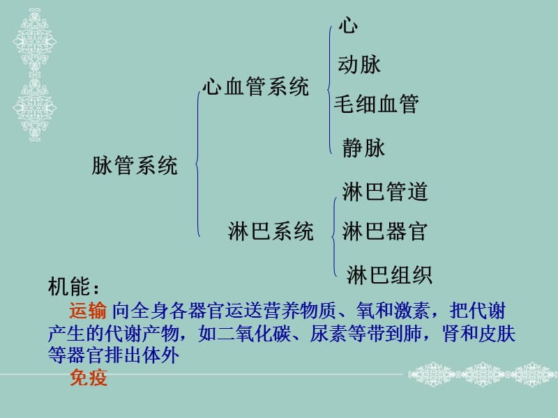 [临床医学]脉管系统 heartV2010.ppt_第2页