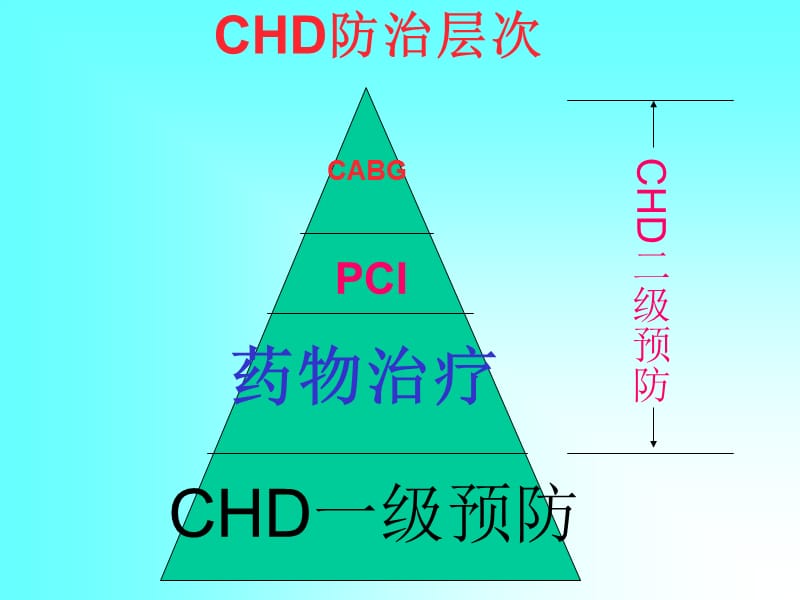 [临床医学]CVD合理用药及误区分析20110510.ppt_第2页