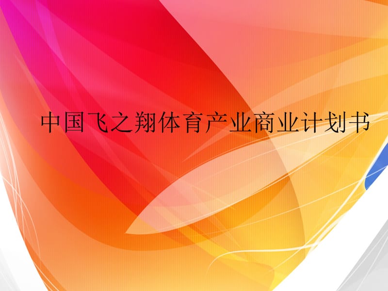 中国飞之翔体育产业商业计划书.ppt_第1页