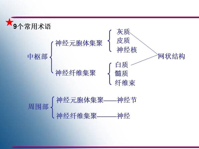 [临床医学]神经系统概要、脊髓和脑干.ppt_第3页