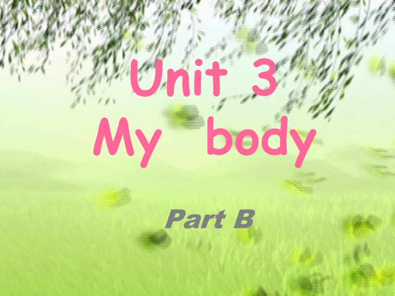 三年级下册英语课件-Unit 1 My Boby part B 陕旅版（三起） (共18张PPT).ppt_第1页