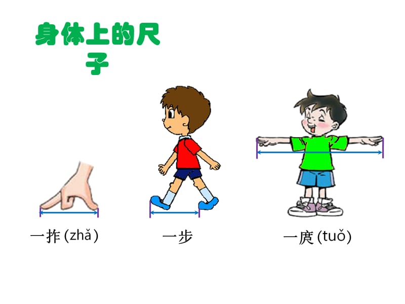 二年级上册数学课件-《量一量，比一比》∣人教新课标（2018秋） (共19张PPT).ppt_第3页