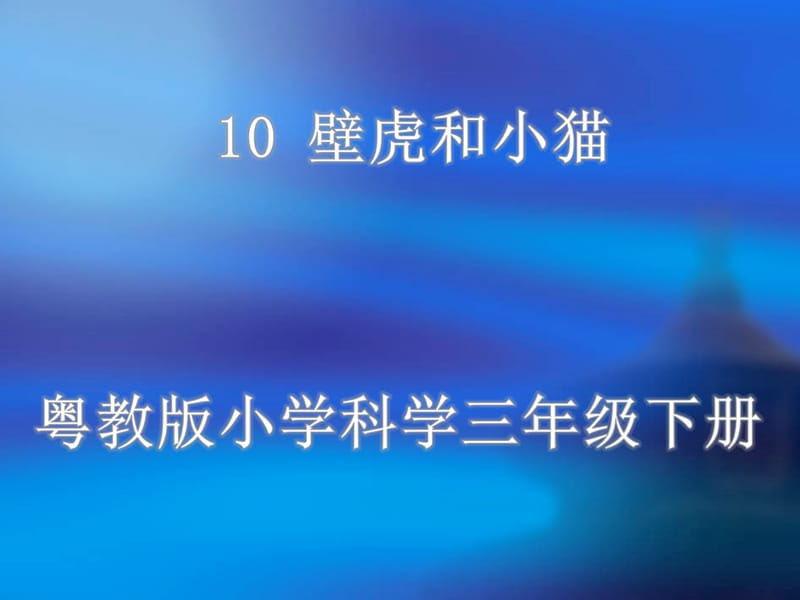 三年级下册科学课件-《10 壁虎与小猫》｜粤科版 (共15张PPT).ppt_第1页