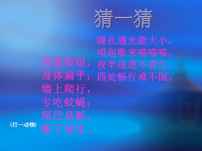 三年级下册科学课件-《10 壁虎与小猫》｜粤科版 (共15张PPT).ppt_第2页