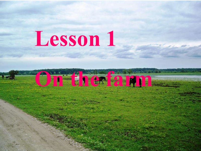 三年级下册英语课件-《Lesson 1 On the farm》 冀教版 (共16张PPT).ppt_第1页