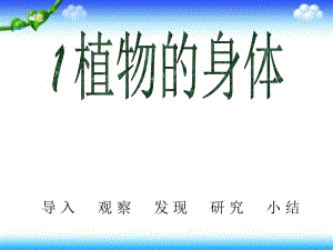 三年级下册科学科课件－《植物的身体》｜人教版 (共33张PPT).ppt