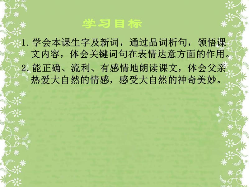 三年级下册语文课件-27《父亲、树林和鸟》 西师大版 (共15张PPT).ppt_第2页