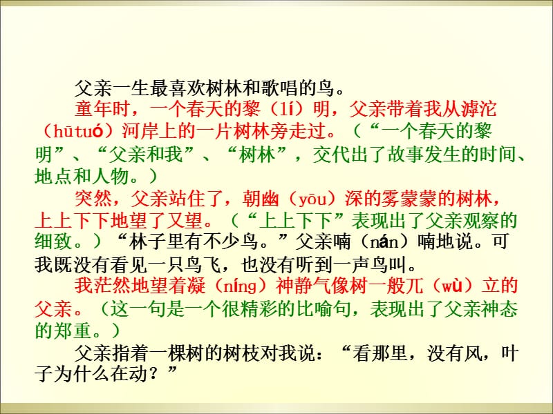 三年级下册语文阅读课件-27.父亲、树林和鸟 l 西师大版 (共10张PPT).ppt_第2页