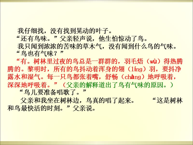 三年级下册语文阅读课件-27.父亲、树林和鸟 l 西师大版 (共10张PPT).ppt_第3页