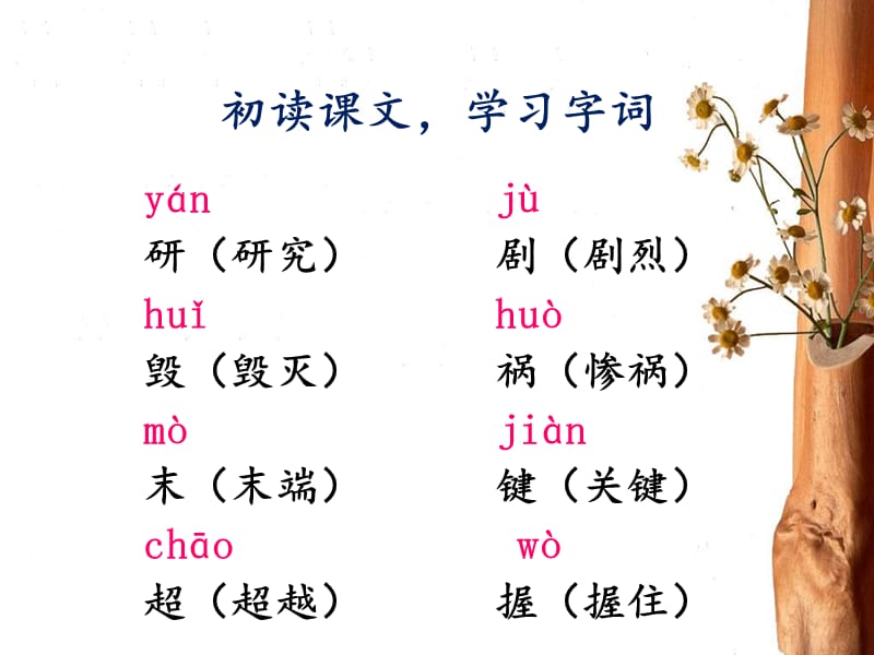 三年级下册语文课件-16.人类的“老师” l 西师大版 (共15张PPT).ppt_第2页