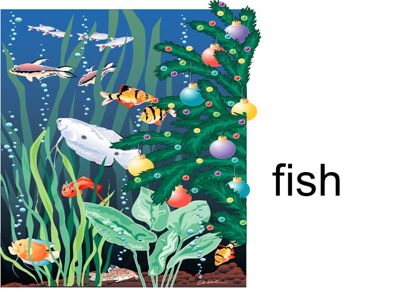 三年级下册英语课件－《Lesson 3 Fish and Birds》｜冀教版（三起） (共21张PPT).ppt_第2页