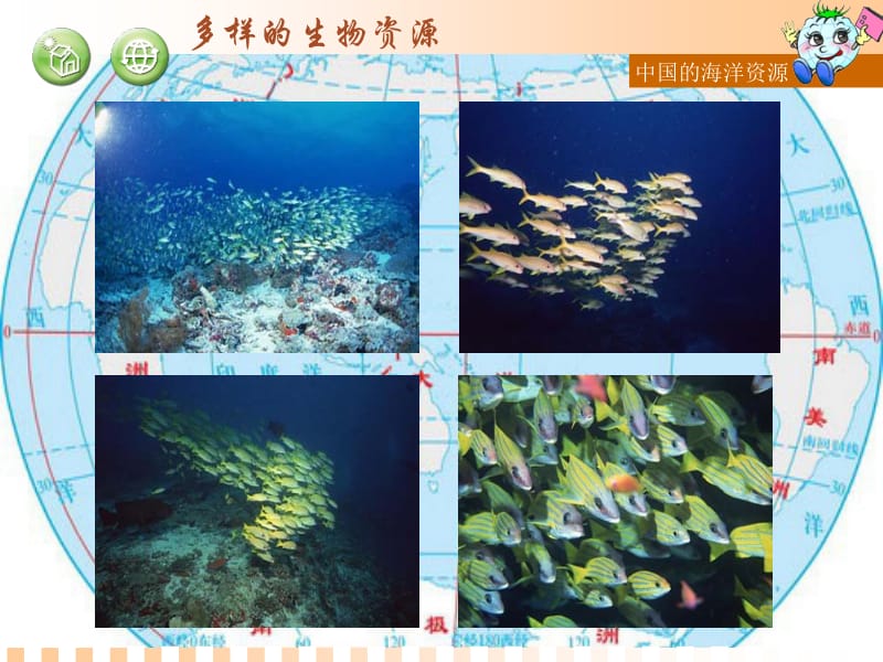 第四节中国的海洋资源.ppt_第3页