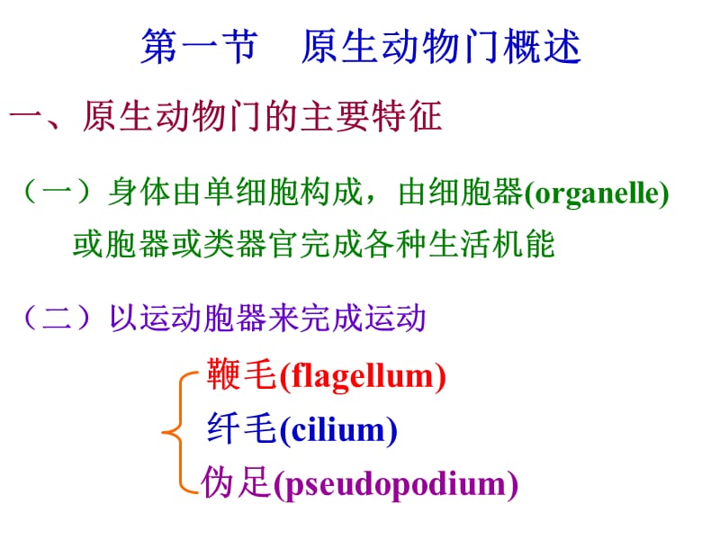 [农学]原生动物.ppt_第3页