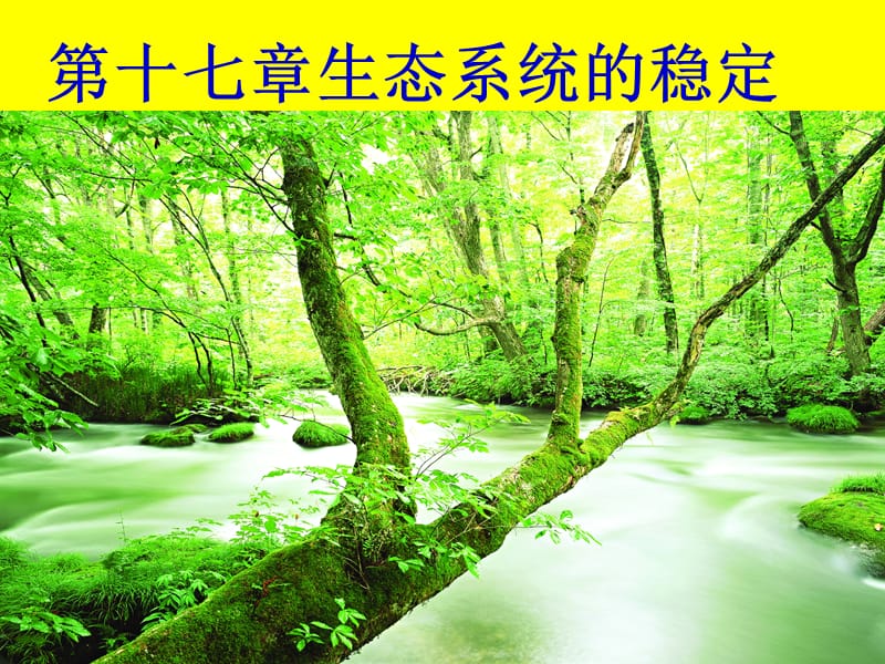 18.1绿色植物与生物圈中的水循环.ppt_第1页