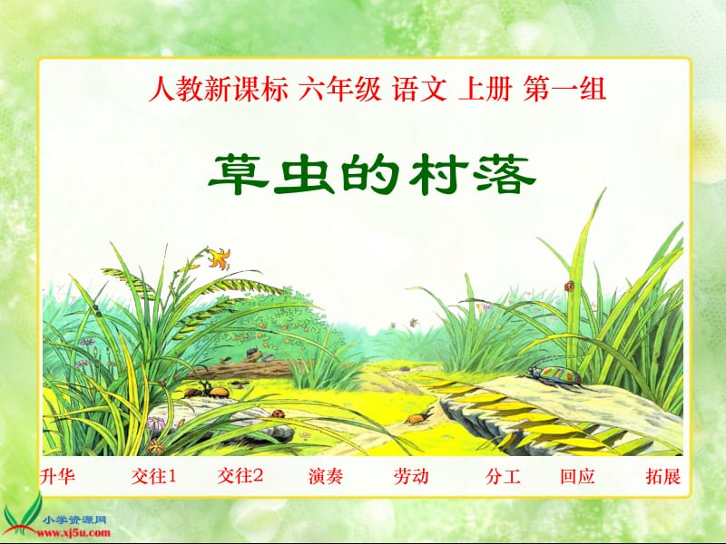 草虫的村落.ppt.ppt_第1页