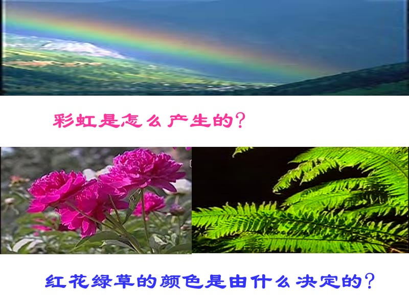 人教版八年级物理上册 光的色散PPT课件.ppt_第2页