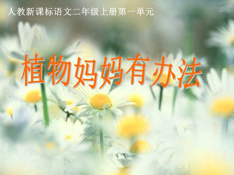 （人教新课标）二年级语文课件　植物妈妈有办法1.ppt_第1页