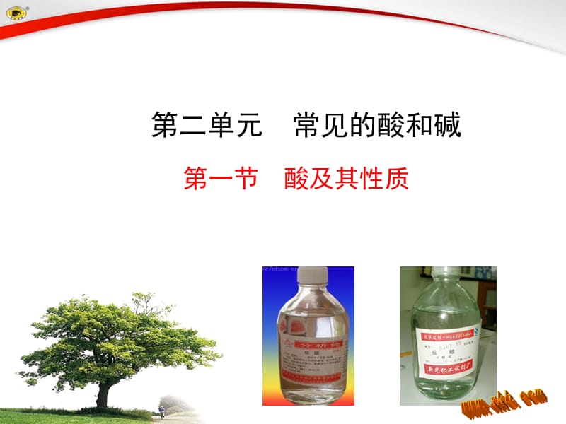 常见的酸和碱.ppt.ppt_第1页