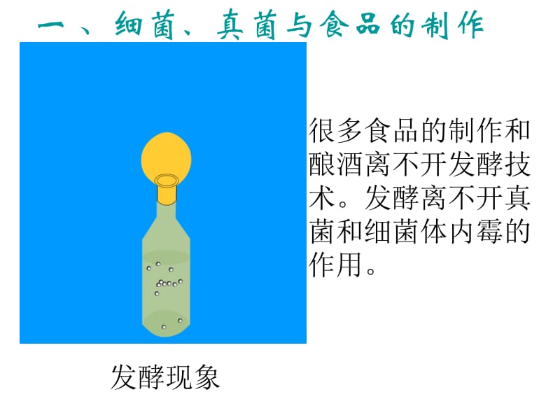 第五节人类对细菌和真菌的利用课件(人教版八年级上).ppt.ppt_第3页