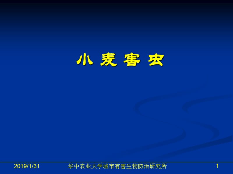 [农学]小麦害虫.ppt_第1页