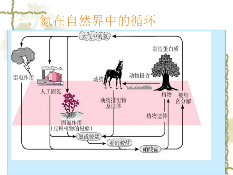 氮的循环课件.ppt_第3页