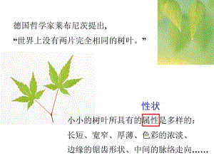 第五节_生物的变异.ppt.ppt