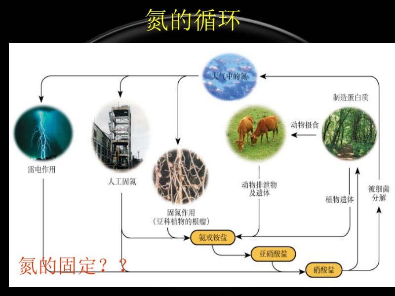 氨硫酸硝酸(wy2014).ppt_第2页