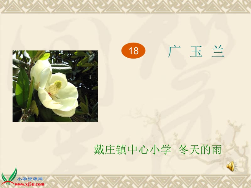 18《广玉兰》(10).ppt_第1页