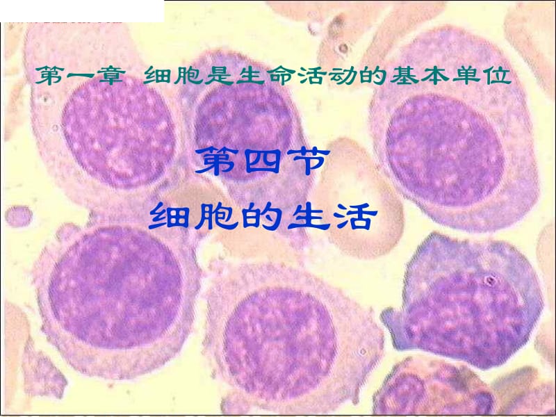 第四节__细胞的生活.ppt_第3页