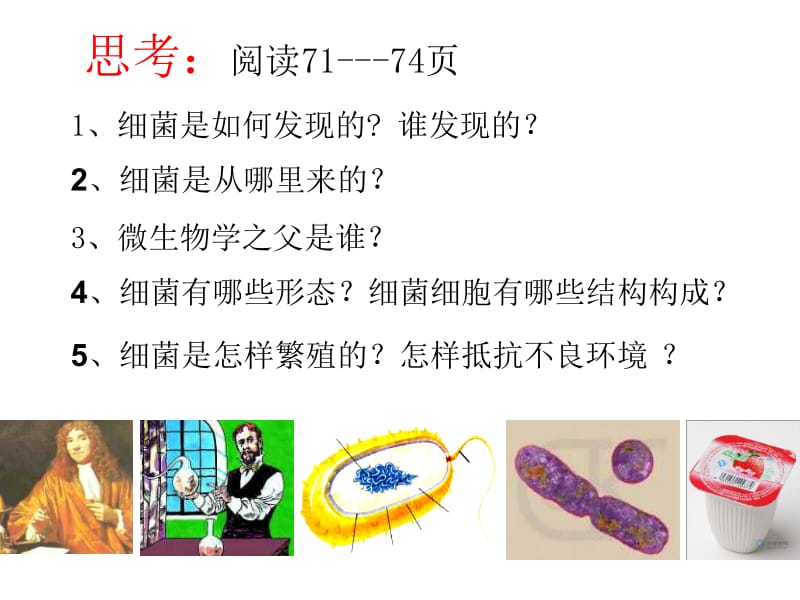 第二节细菌富源县第六中学侯汝翠.ppt_第3页