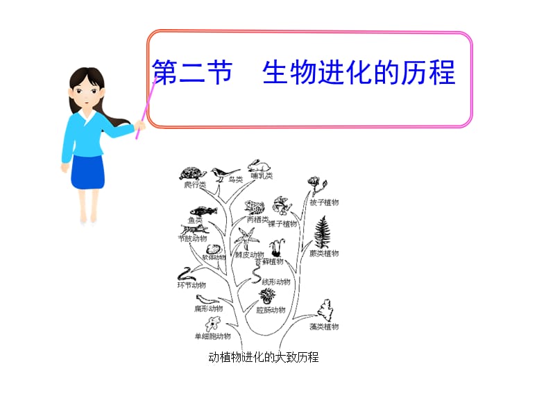 第二节生物进化的历程.ppt_第1页