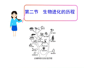 第二节生物进化的历程.ppt