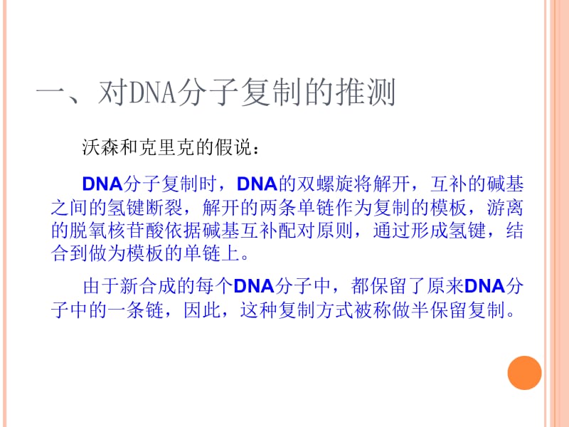 第三节DNA的复制.ppt_第2页