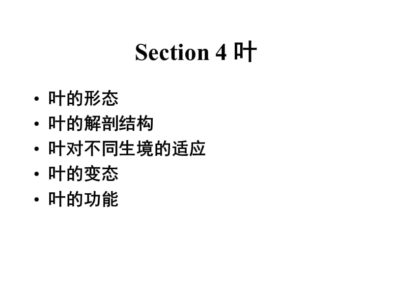 [农学]叶.ppt_第1页