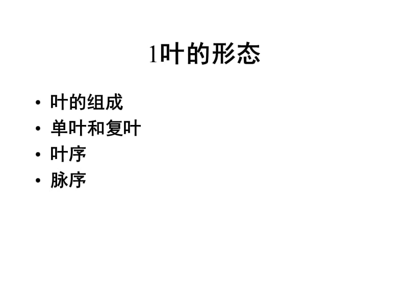 [农学]叶.ppt_第2页