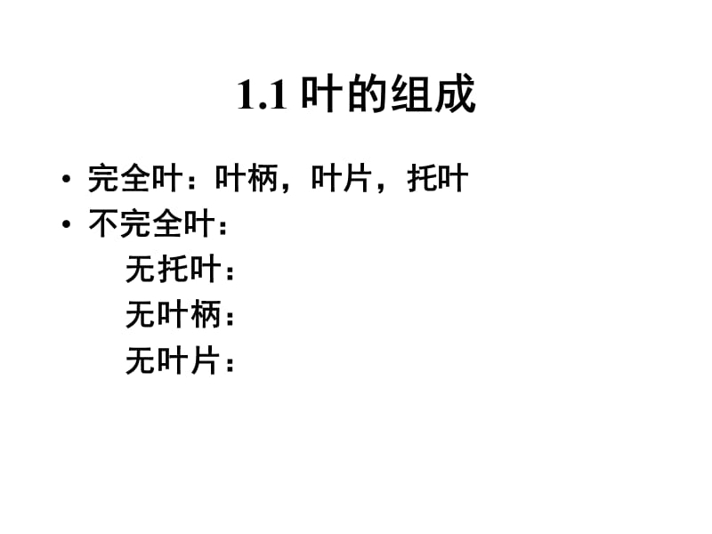 [农学]叶.ppt_第3页