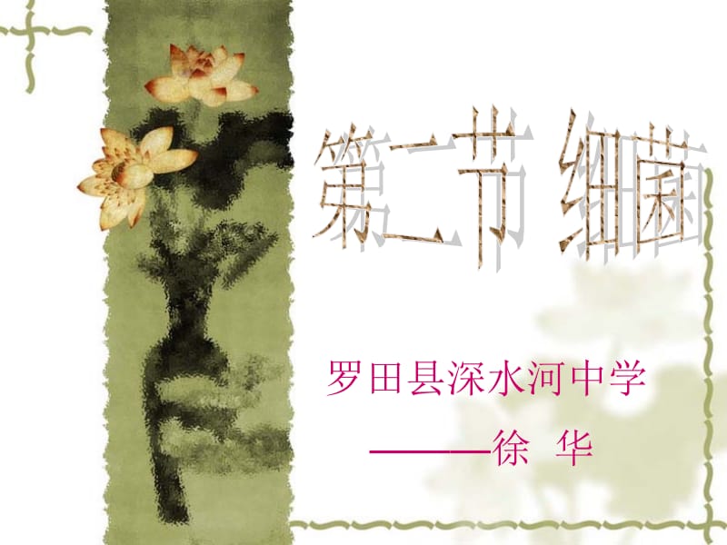 第二节细菌 (3).ppt_第1页