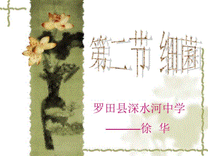 第二节细菌 (3).ppt