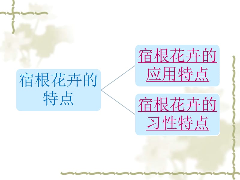 [农学]宿根花卉的识别.ppt_第3页