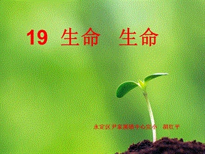 19《生命__生命》教学课件.ppt