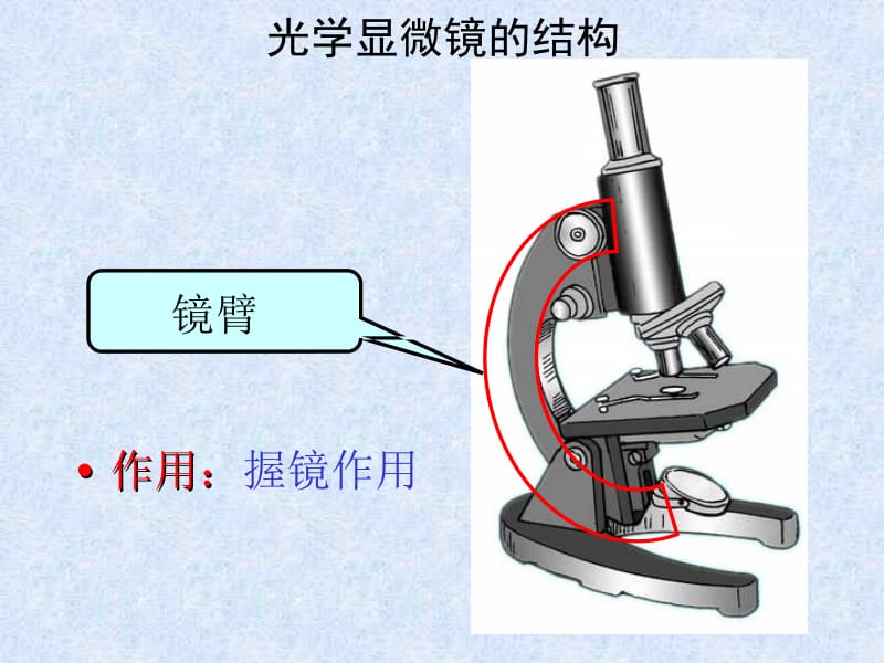 2014新人教版七年级生物上册第二单元第一章第一节练习使用显微镜.ppt_第3页